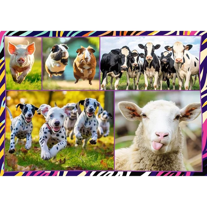Trefl 13313 - Mókás állatok - 4 x 250 db-os puzzle