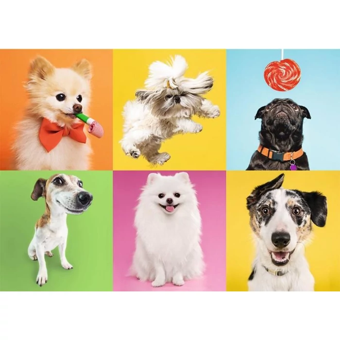 Trefl 37378 - Kutyák - 500 db-os puzzle
