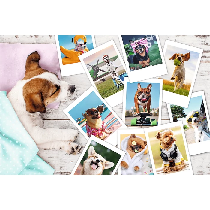 Trefl 23003 - Kutya kalandok - 300 db-os puzzle