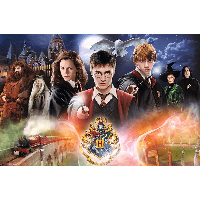 Trefl 23001 - Harry Potter - Varázsvilág - 300 db-os puzzle