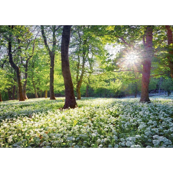 Spring Olmer Ulmer 2743 - Spring Sun - 1000 db-os puzzle - Puzzle 1000 db